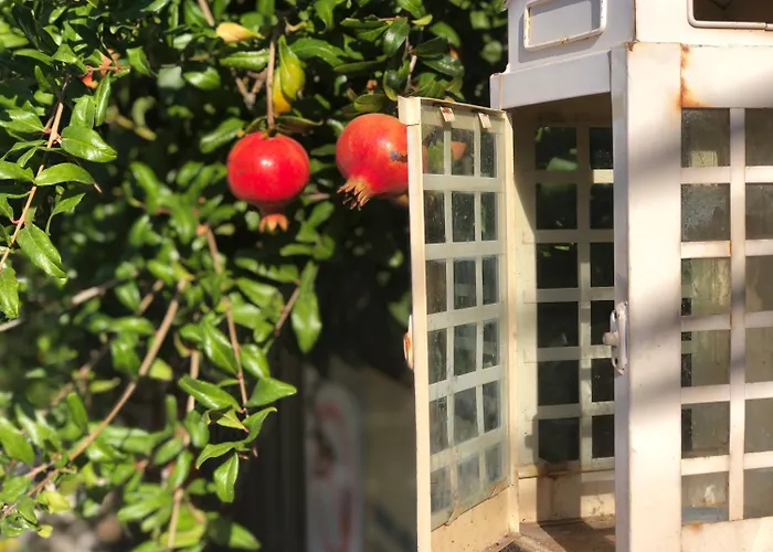 斯塔莫斯酒店 酒店 3*