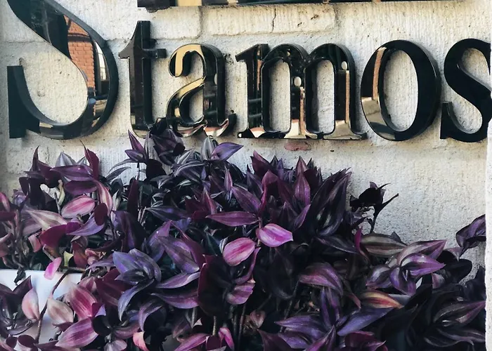 酒店 斯塔莫斯酒店 3*